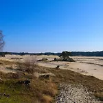 Het Wellnest