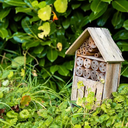 Het Wellnest 4* Hulshorst