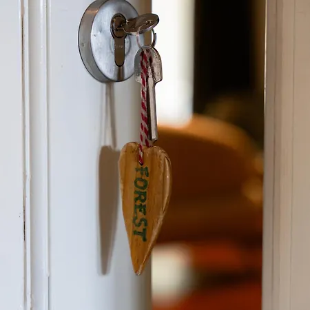Het Wellnest Bed & Breakfast 4*