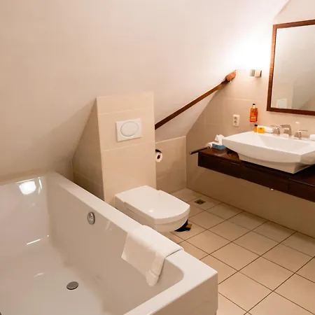 Bed & Breakfast Het Wellnest 4*