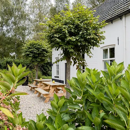 Het Wellnest 4* Hulshorst