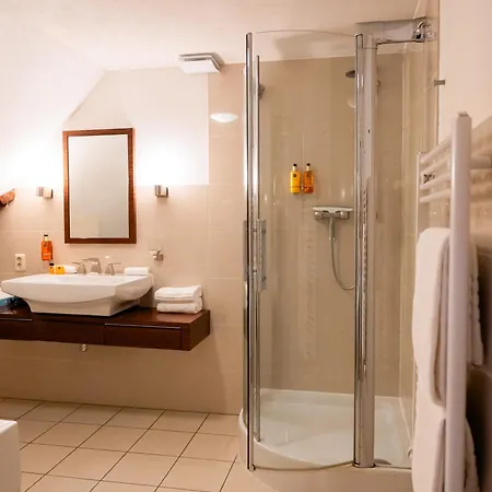 Het Wellnest Bed & Breakfast 4*