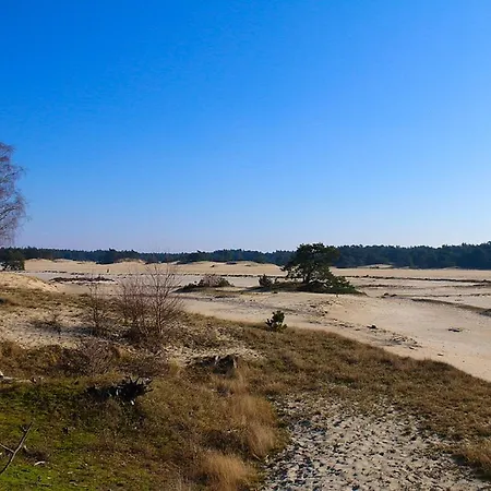 Het Wellnest