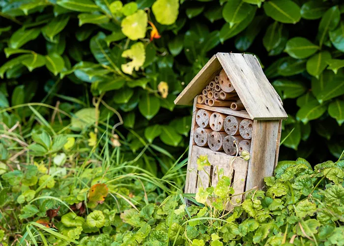 Het Wellnest 4* Hulshorst