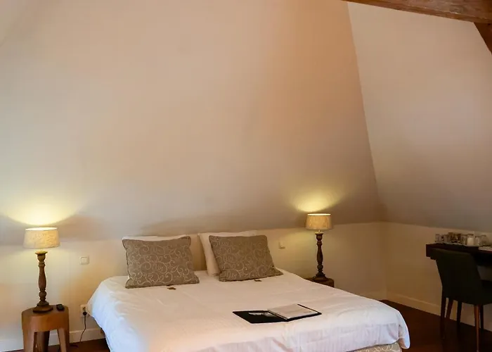 Het Wellnest 4* Hulshorst