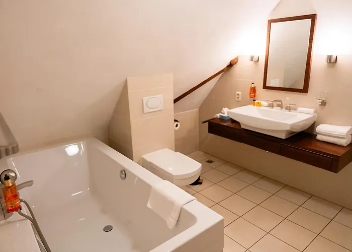 Bed and breakfast Het Wellnest 4*